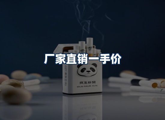 专业团队办公环境